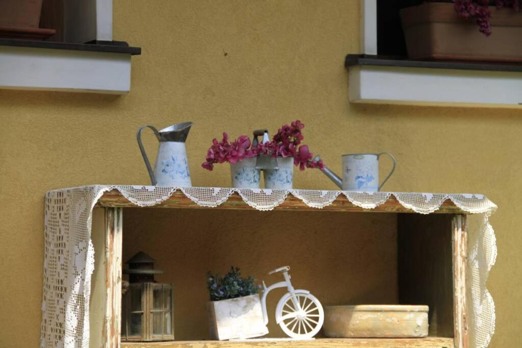 Apartman Brankova Kuca Sremski Karlovci Exteriör bild