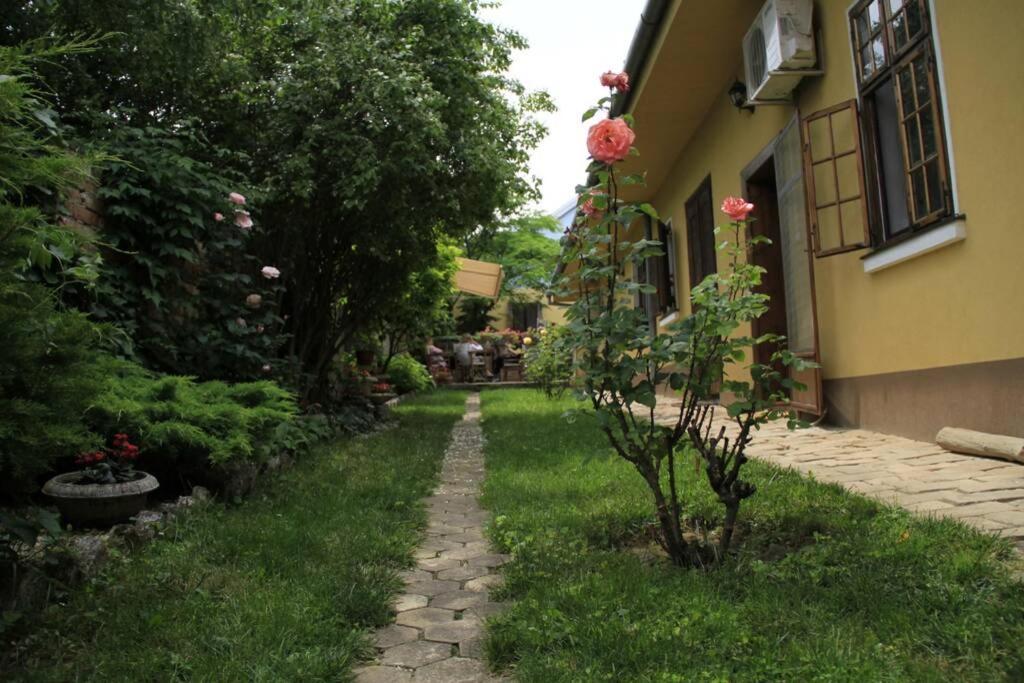 Apartman Brankova Kuca Sremski Karlovci Exteriör bild